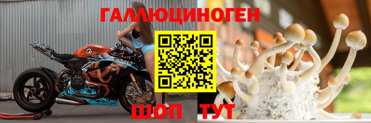 Псилоцибиновые грибы Magic Shrooms  где можно купить наркотик  Клинцы  Вход с VPN  Псилоцибиновые грибы прущие грибы 