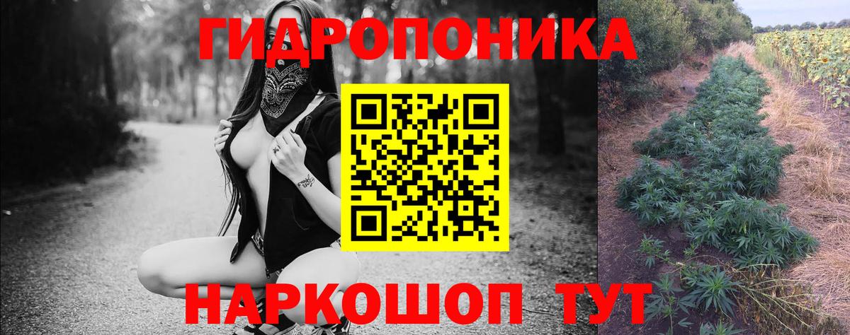 МАРИХУАНА план  Каннабис планчик  Вход с VPN  Клинцы 